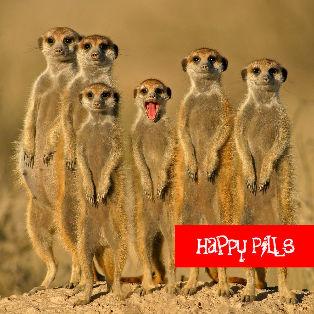 Happy Pills EP cover (2015)